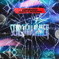 Gringo — Schlaghammer Ft Saad & Undacava — обложка